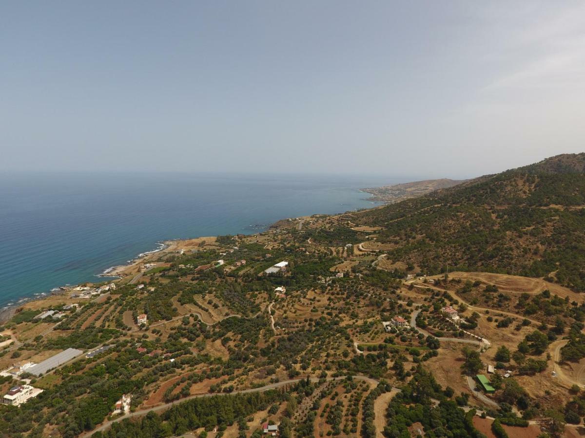 Martika Luxury Villa Agia Marina  Exterior foto